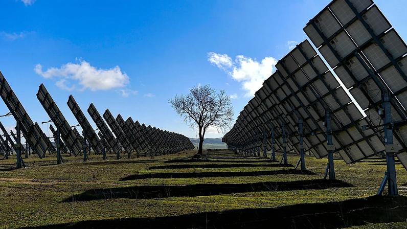 ARQUIVO - Uma árvore rodeada por painéis solares em Los Arcos, Navarra, norte de Espanha, sexta-feira, 24 de fevereiro de 2023