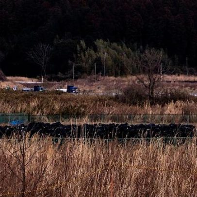 Japão assinala 15.º aniversário de Fukushima e do tsunami de 2011