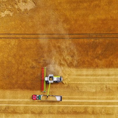 Crise dos fertilizantes na Europa: preços sobem com guerra no Irão e Rússia