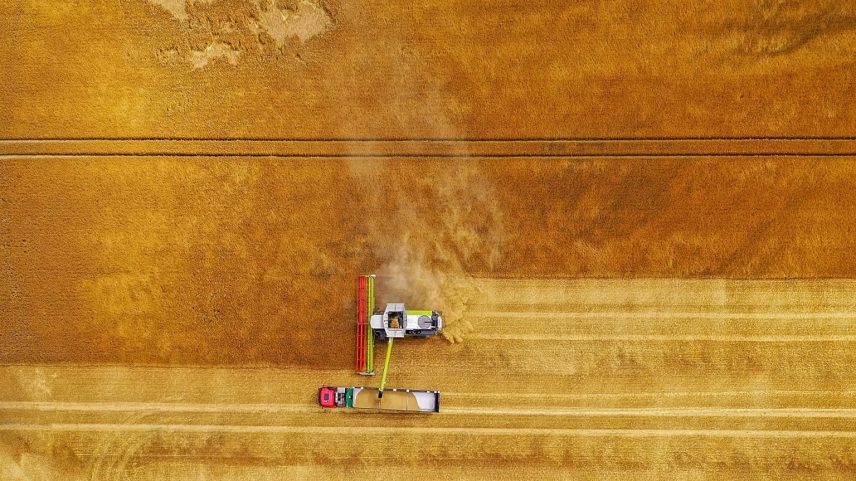 Cerca de um terço dos carregamentos mundiais de fertilizantes passam pelo Estreito de Ormuz.