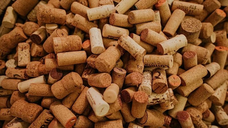 Exportação de cortiça aumenta para países próximos da Rússia