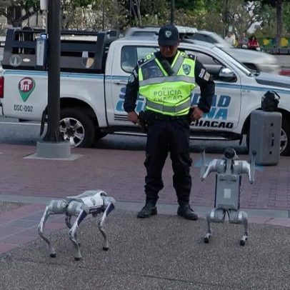 Venezuela utiliza cães-robô em patrulhas em Caracas