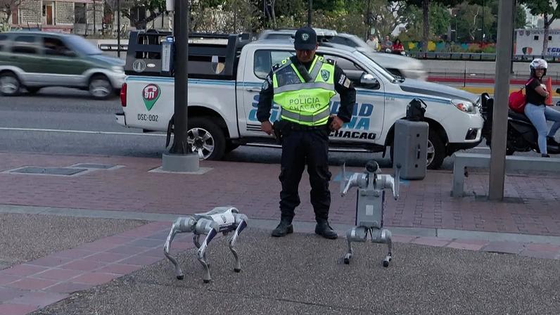 Cães-robô interagem com agente policial na praça de Altamira
