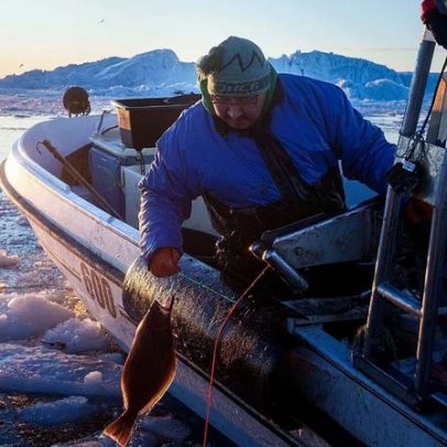 Degelo na Gronlândia leva pescadores tradicionais a práticas mais poluentes