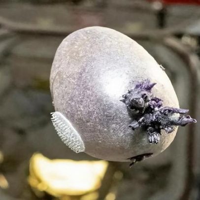 Foto de astronauta da NASA revela se é criatura espacial ou batata