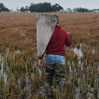 Guerra força Ásia Central a repensar agricultura e segurança alimentar