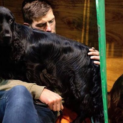 Crufts arranca em Birmingham com mais de 20 mil cães