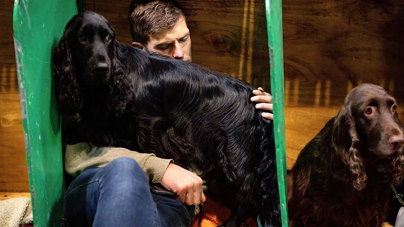 Homem adormece com um cão Field Spaniel ao colo, no National Exhibition Centre, em Birmingham (NEC)