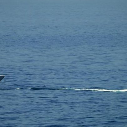 Chefe da Marinha da Guarda Revolucionária do Irão morto em operação, afirma Israel
