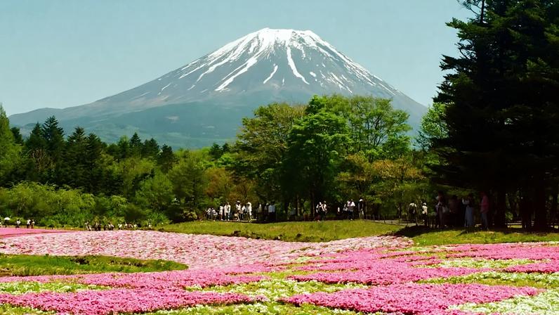 Japão atrai turistas em busca de destinos além de Tóquio e Quioto