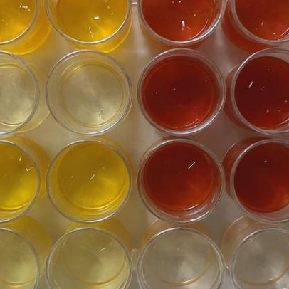 Bactéria ajuda a limpar campos de batalha e devolve fertilidade ao solo