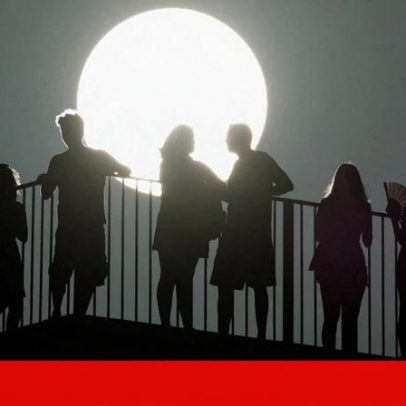 Por que os humanos são diurnos? A resposta está num interruptor celular