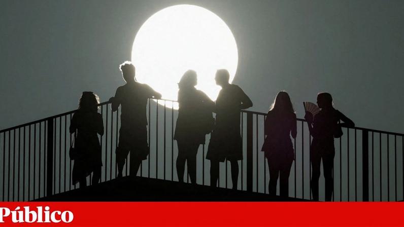 Ao contrário da maioria dos mamíferos, os seres humanos permanecem activos durante o dia