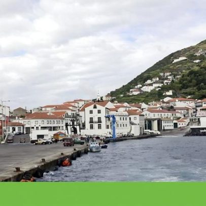 Tribunal obriga a plantar 600 árvores após corte de floresta nos Açores