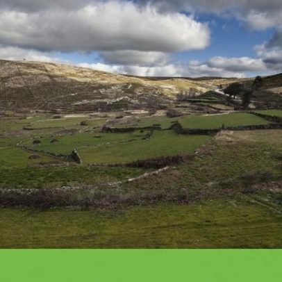 Arouca é desfavorável à nova central fotovoltaica por risco de prejuízos