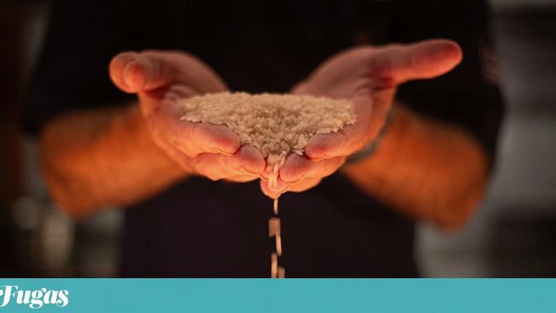 O arroz carolino, sendo gomoso, não nasceu de modo algum para ser solto. E muito menos “soltinho”.