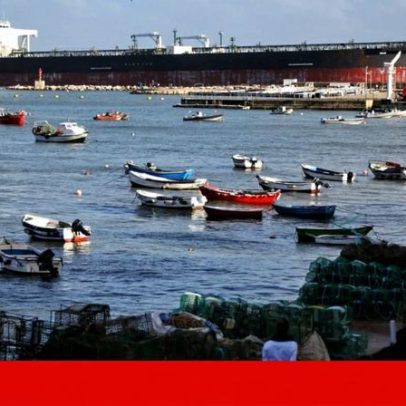 Cascais apoia armadores e pescadores impedidos de ir à faina