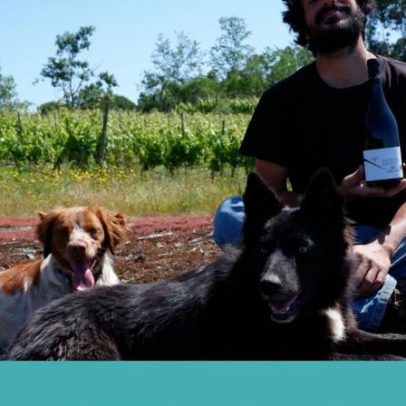 Um Encruzado permanece fiel aos pergaminhos da casta