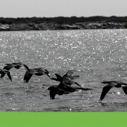 Bruxelas multou Portugal em 10 milhões por falhas ambientais