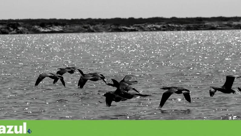 Bruxelas multou Portugal em 10 milhões por falhas ambientais