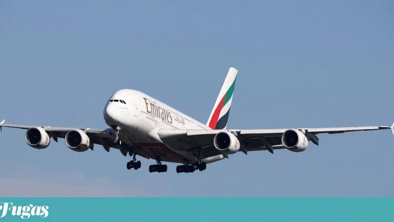 Comprou voos para o Médio Oriente? Confirme com a empresa e verifique reembolsos