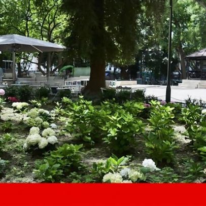 Feira do livro apenas de poesia ocupará Jardim da Parada, em Lisboa
