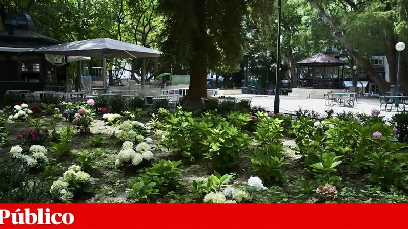 A iniciativa inclui sessões de apresentação de livros, oficinas, cinema e leituras