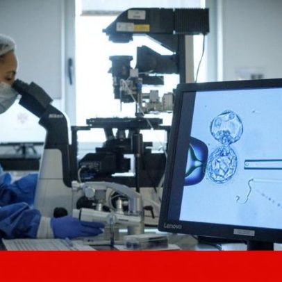 Gestação de substituição: associação escreve a Seguro e lembra atraso do Governo