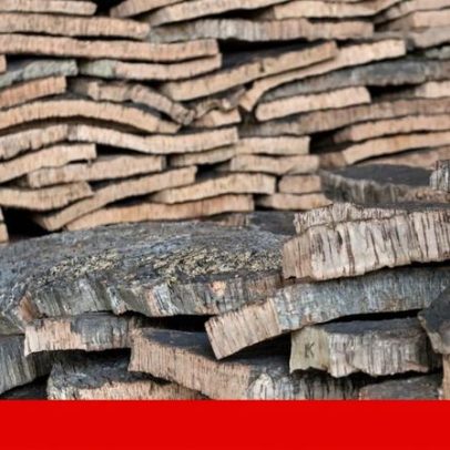 Exportações para países próximos da Rússia sobem, Finanças investigam