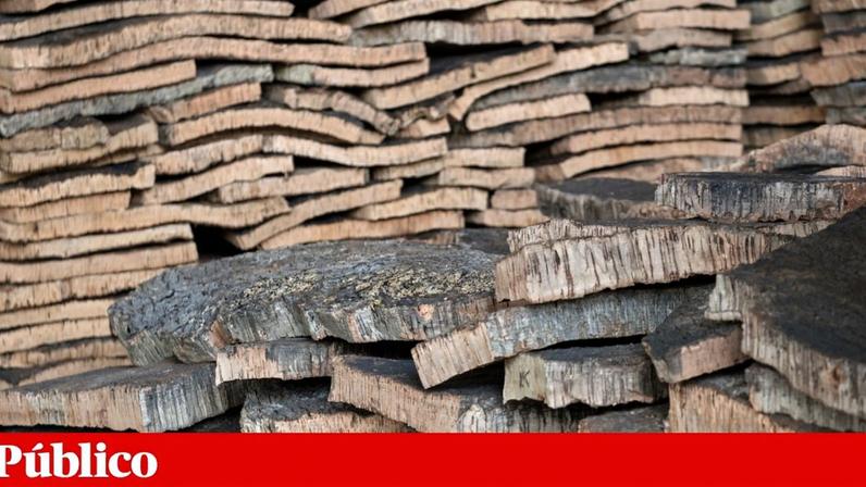 A cortiça foi um dos bens que viram as vendas para a Turquia, Cazaquistão e Quirguistão dispararem a partir de 2022