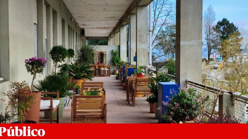 Directora do serviço de pneumologia diz que o acesso a um espaço exterior, com luz natural e ar livre, passará a integrar o processo terapêutico de muitos doentes