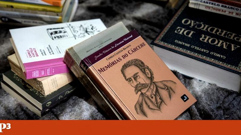 Ler para ver, ler para ser livre: leitura como ferramenta de liberdade