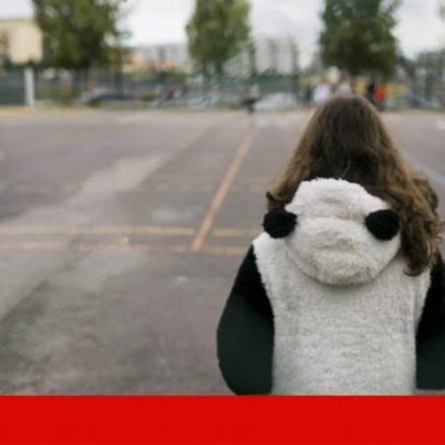 Influenciadores: Inspeção da Educação recorda diretores das suas obrigações