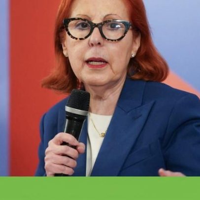 Vai emitir vales para apoiar proprietários florestais a limpar terrenos