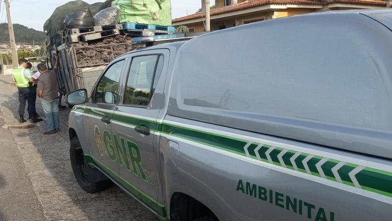 Acções de investigação e fiscalização decorreram entre Agosto e Dezembro de 2025