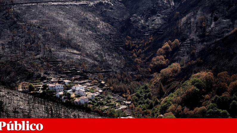 Devastação dos fogos no Verão de 2025