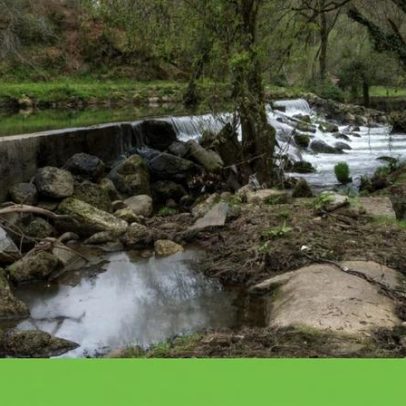 Valongo lidera acordo intermunicipal para recuperar o rio Ferreira