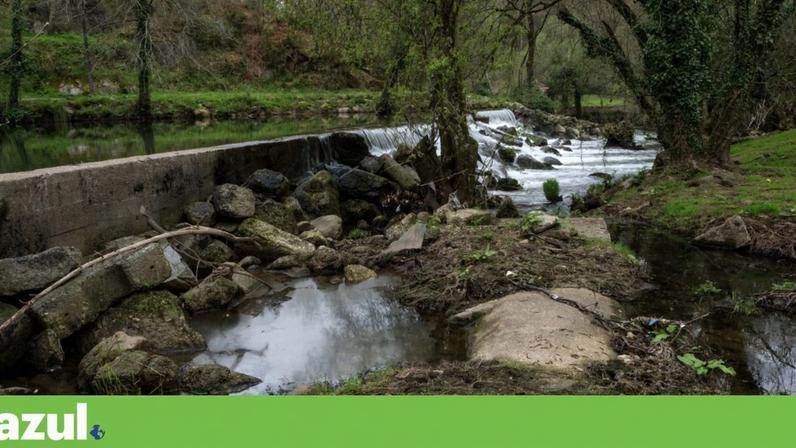 Valongo lidera acordo intermunicipal para recuperar o rio Ferreira