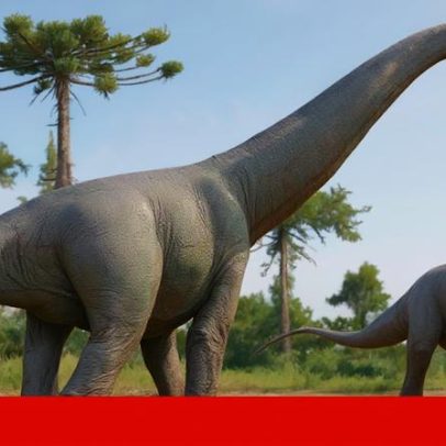 Fósseis de dinossauro no Brasil revelam nova espécie gigante