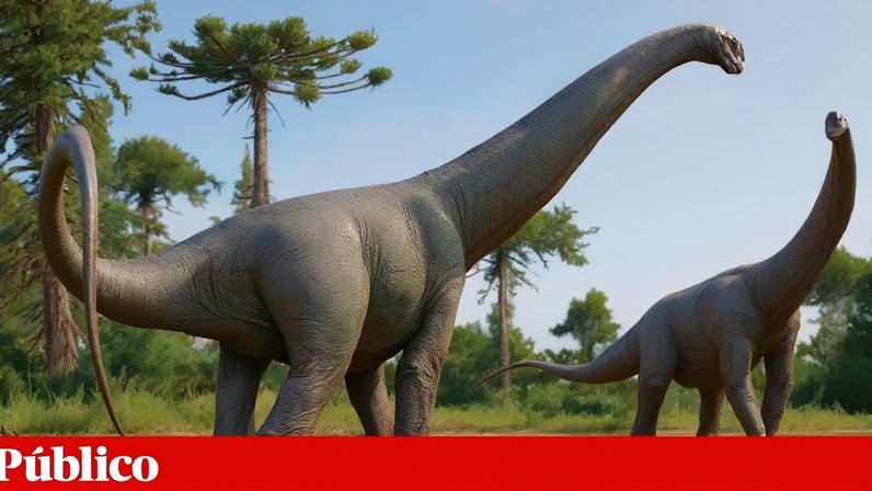 Fósseis de dinossauro no Brasil revelam nova espécie gigante