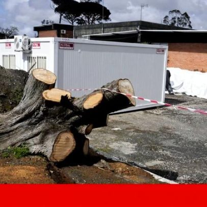 Um mês e meio depois da Kristin, alunos aprendem em contentores e antiga capela mortuária