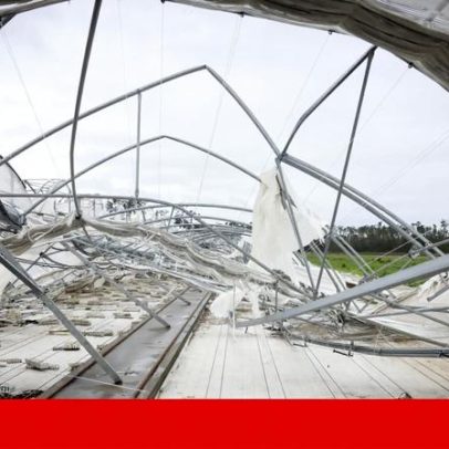 Mercado de seguros agrícolas com oferta e procura reduzidas