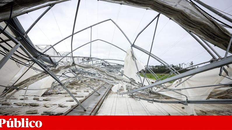 Mercado de seguros agrícolas com oferta e procura reduzidas
