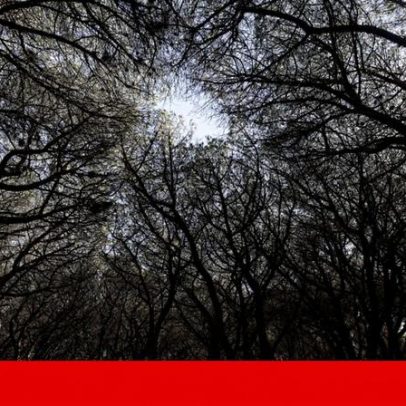 Sesimbra: não foram abatidas espécies importantes; zona não está protegida