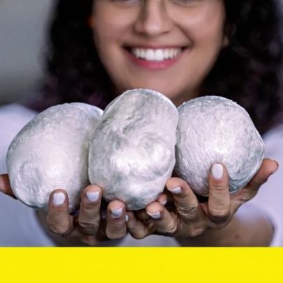 Empresa catarinense exporta material reciclado para isolamento térmico na Europa