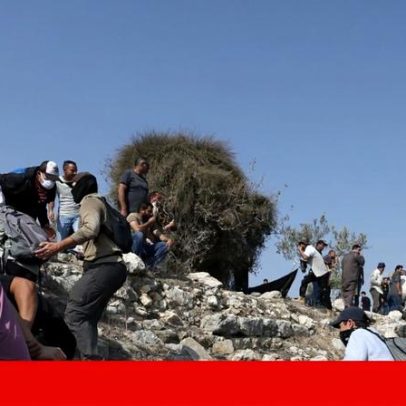 Activista portuguesa alegadamente espancada por colonos israelitas na Cisjordânia