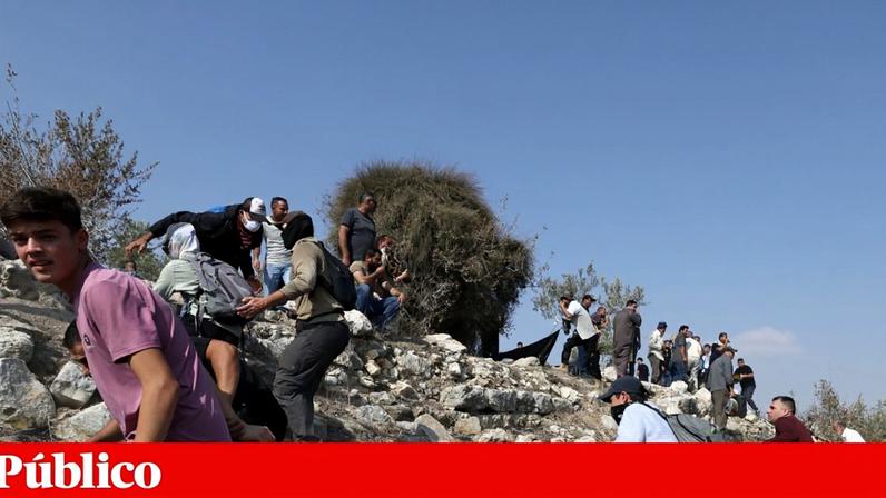 Os ataques de colonos israelitas a comunidades palestinianas têm-se sucedido