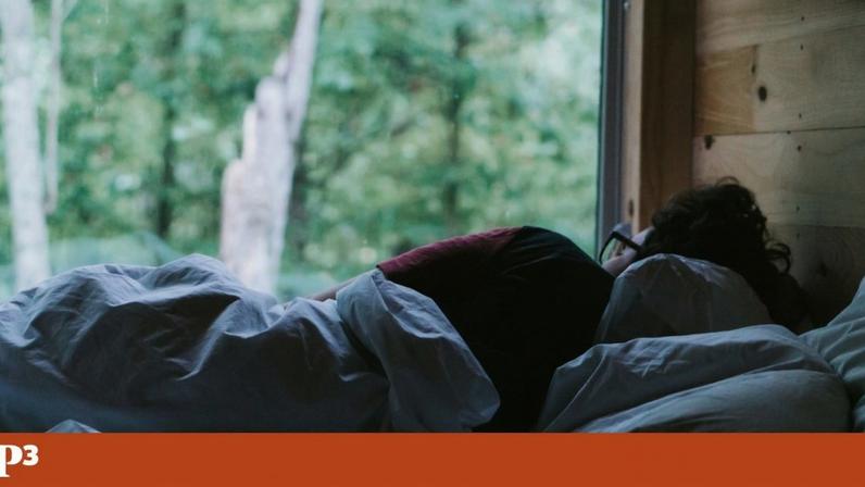 Acordar às 5h não garante sucesso, conclui estudo