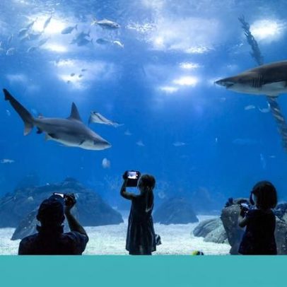 Dez ideias para oferecer água no Dia Mundial da Água