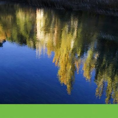 proTEJO recorre à Provedora Europeia para reivindicar caudais ecológicos no Tejo